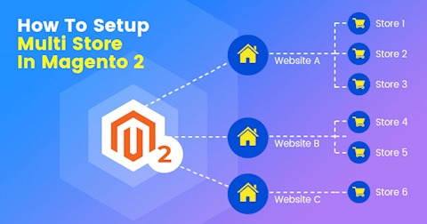 How To Setup Multi Store In Magento 2