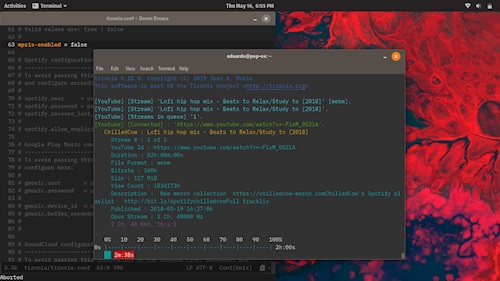 Terminal based music player? Yes, please! 