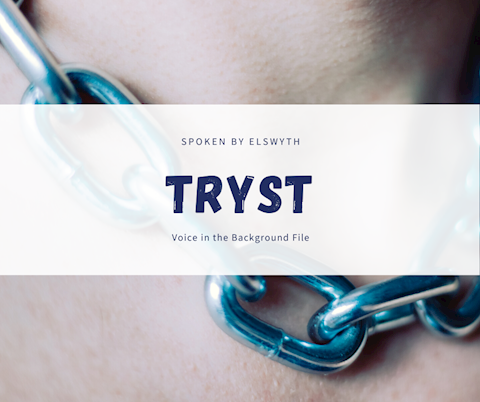 Tryst - A Voice in the Background file