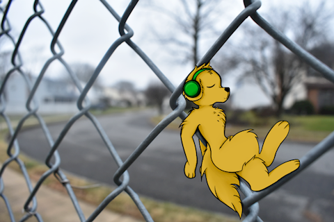Fido on the Fence