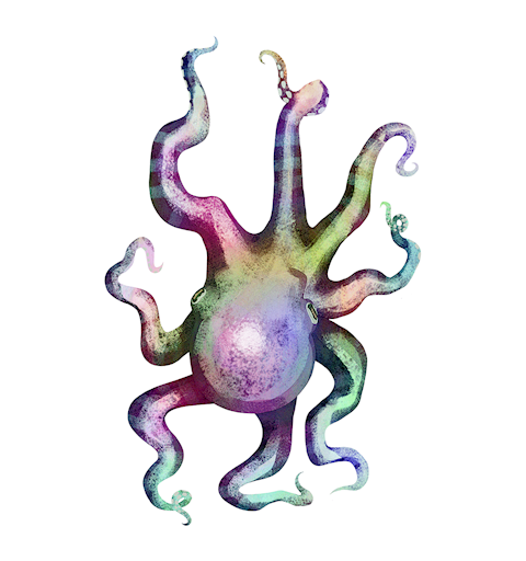 Brilliant Octopus