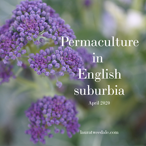 Permaculture in English suburbia video