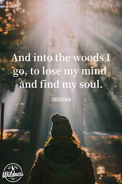 And into the forest I go...