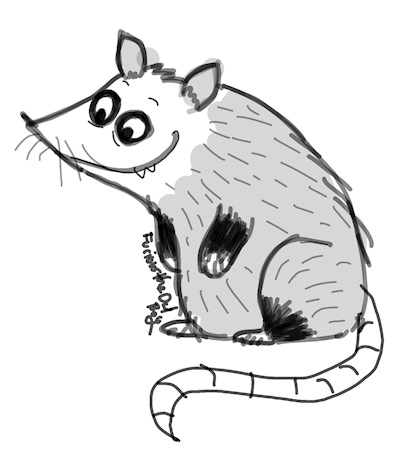 Ko-Fi Doodle - Opossum!