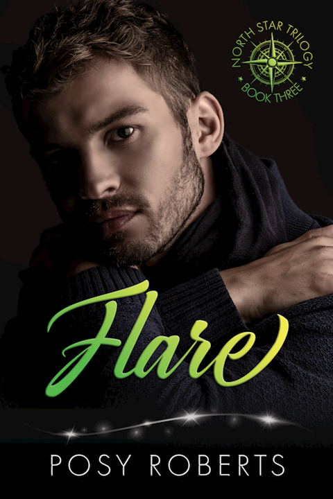 Flare - An Us-Against-the-World Romance