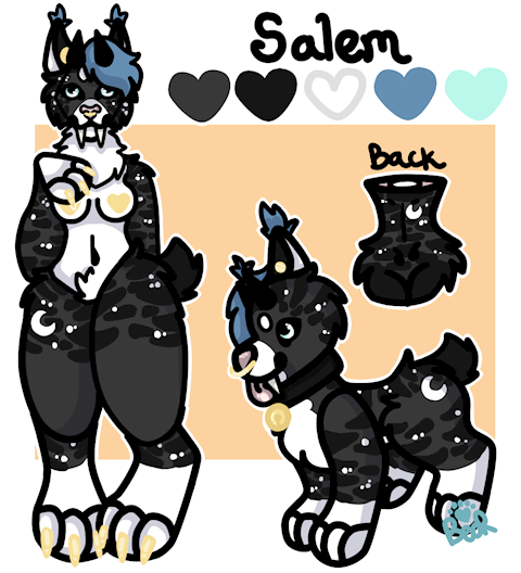 Salem Reference Sheet