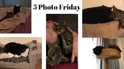 5 photo Fridays, over on Patreon!
