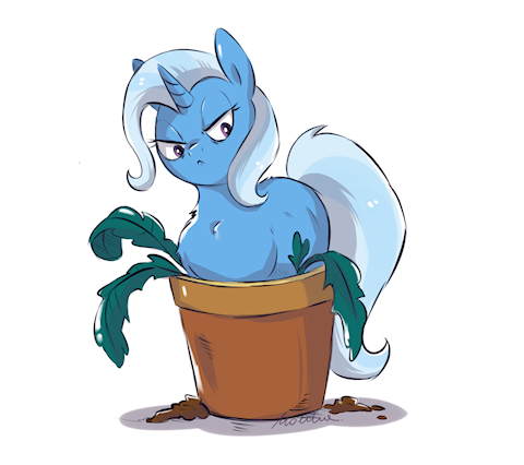 Trixie's Pot